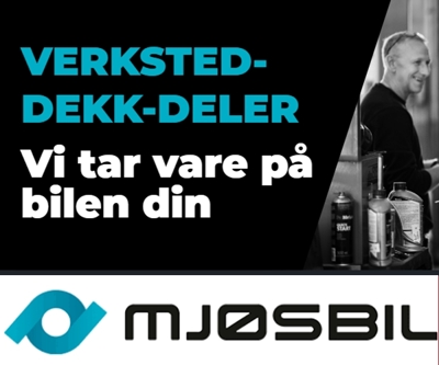 Mjøsbil 600x500.jpg